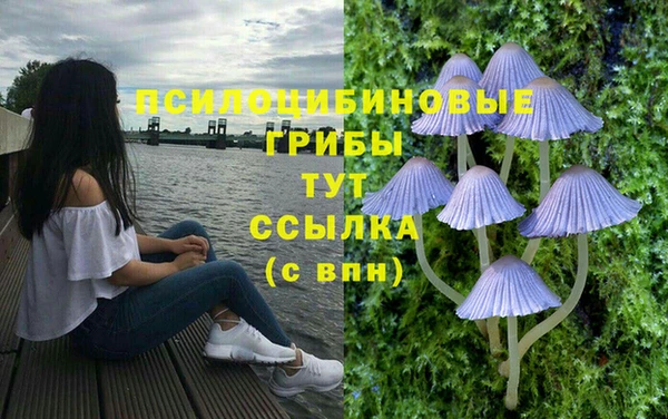 скорость Алексин